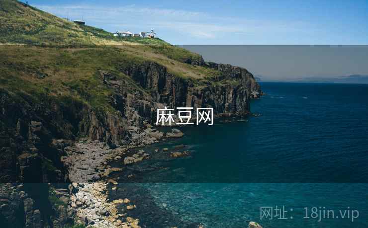 麻豆网