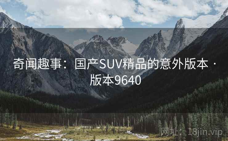奇闻趣事：国产SUV精品的意外版本 · 版本9640