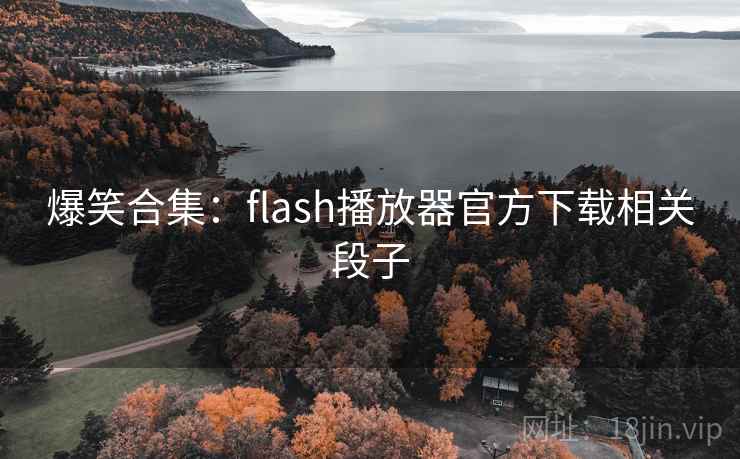 爆笑合集:flash播放器官方下载相关段子 爆笑合集:flash播放器官方下载相关段子