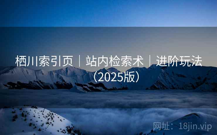 栖川索引页｜站内检索术｜进阶玩法（2025版）