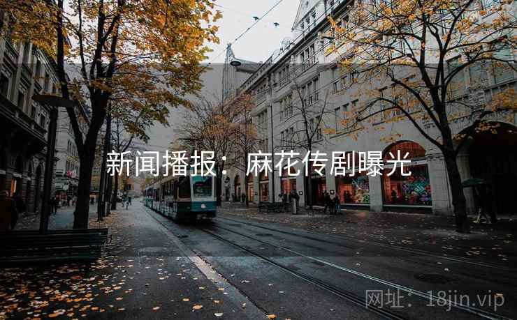 新闻播报：麻花传剧曝光